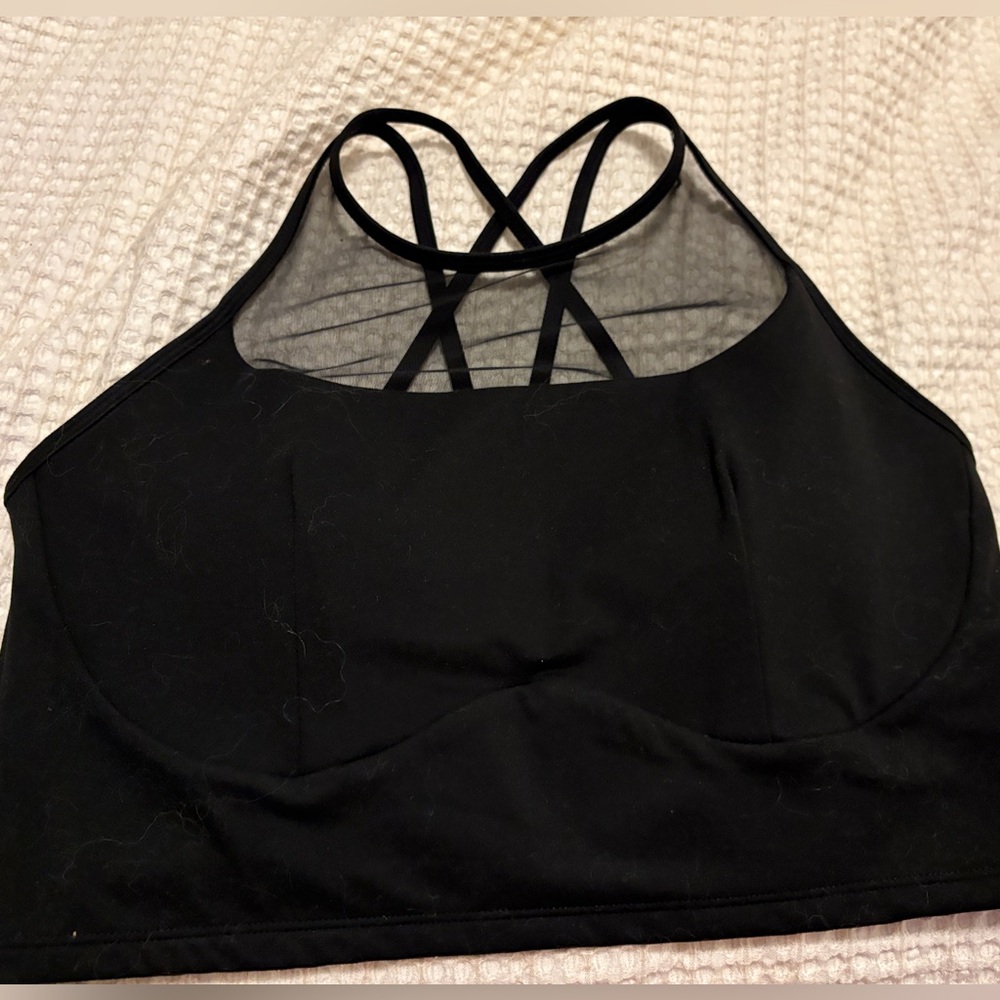 Celeste Mesh Crop Bralette - Black 1X